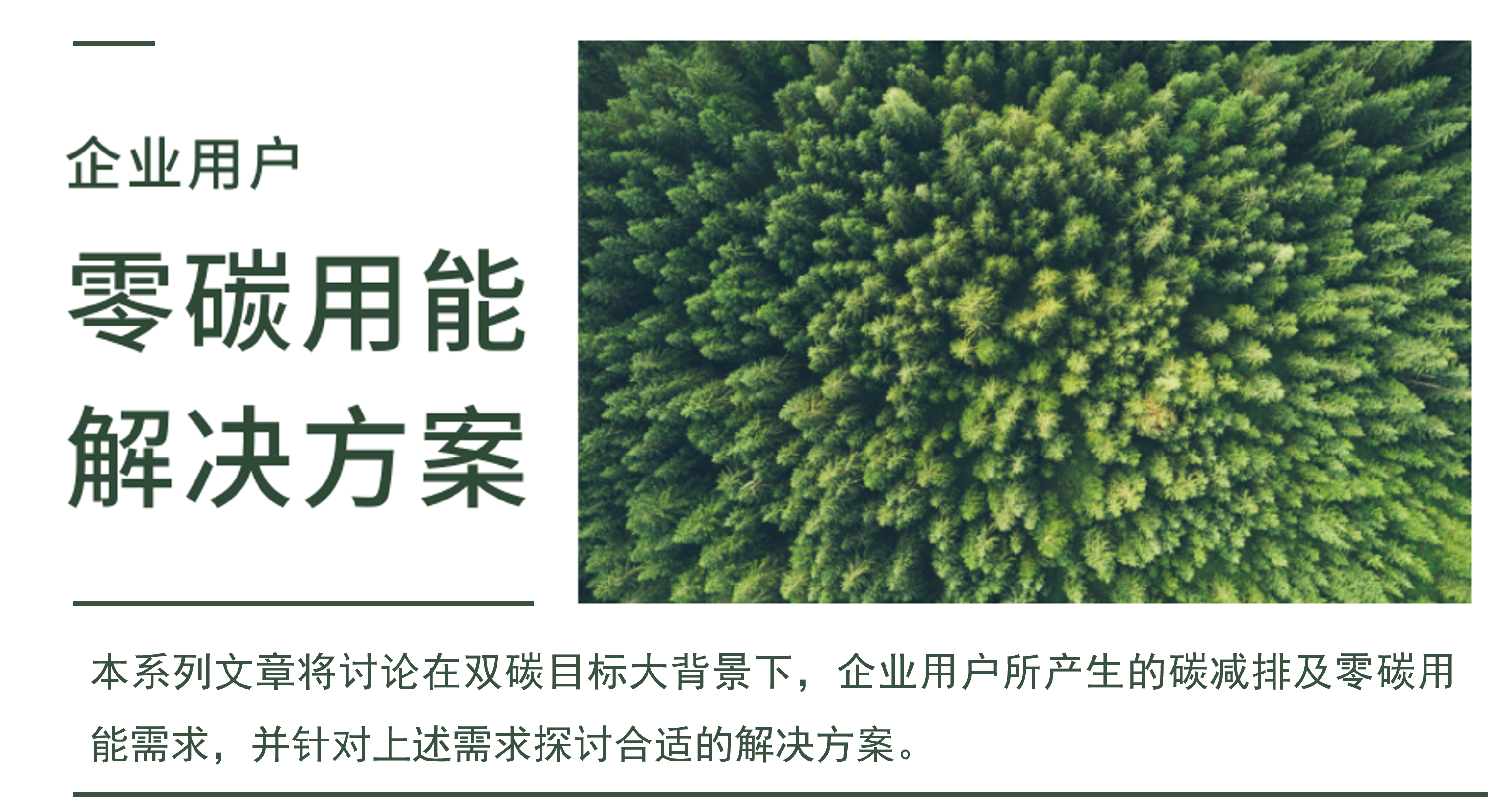 企業(yè)用戶零碳用能封面.png